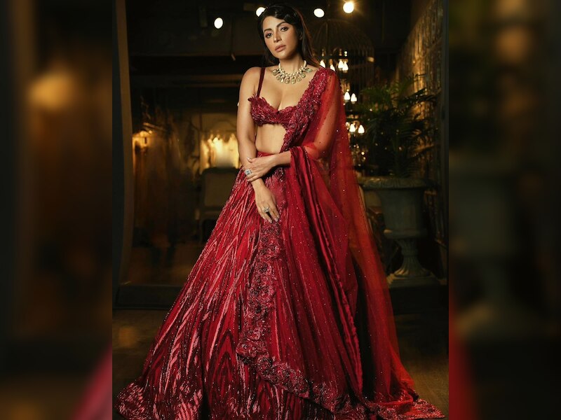 शमा का ब्वॉयफ्रेंड 