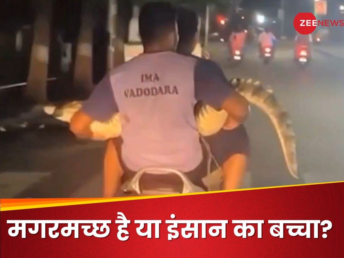 Crocodile Video: मगरमच्छ को गोद में लेकर बाइक पर घूमता दिखे ये दो लड़के, क्यों किया ऐसा?