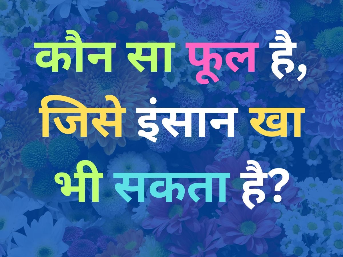 GK Quiz: कौन सा फूल है, जिसे इंसान खा सकता है?