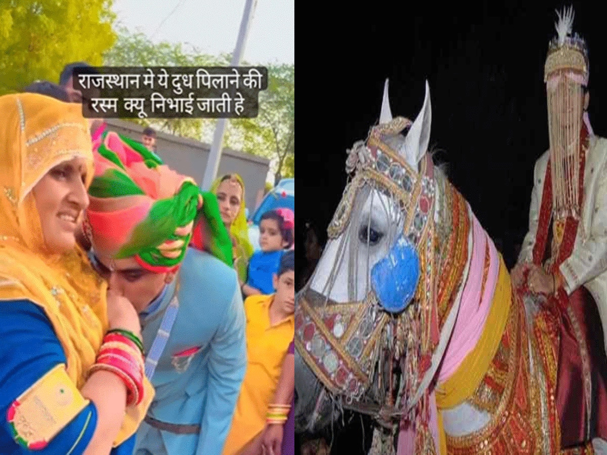 Rajasthan Kota village where groom rides mare after mother breastfeeds 