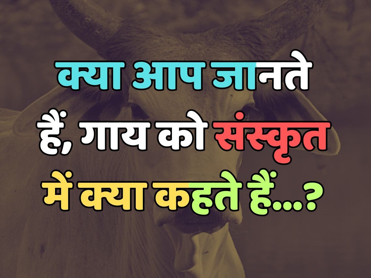 what cow is called in Sanskrit