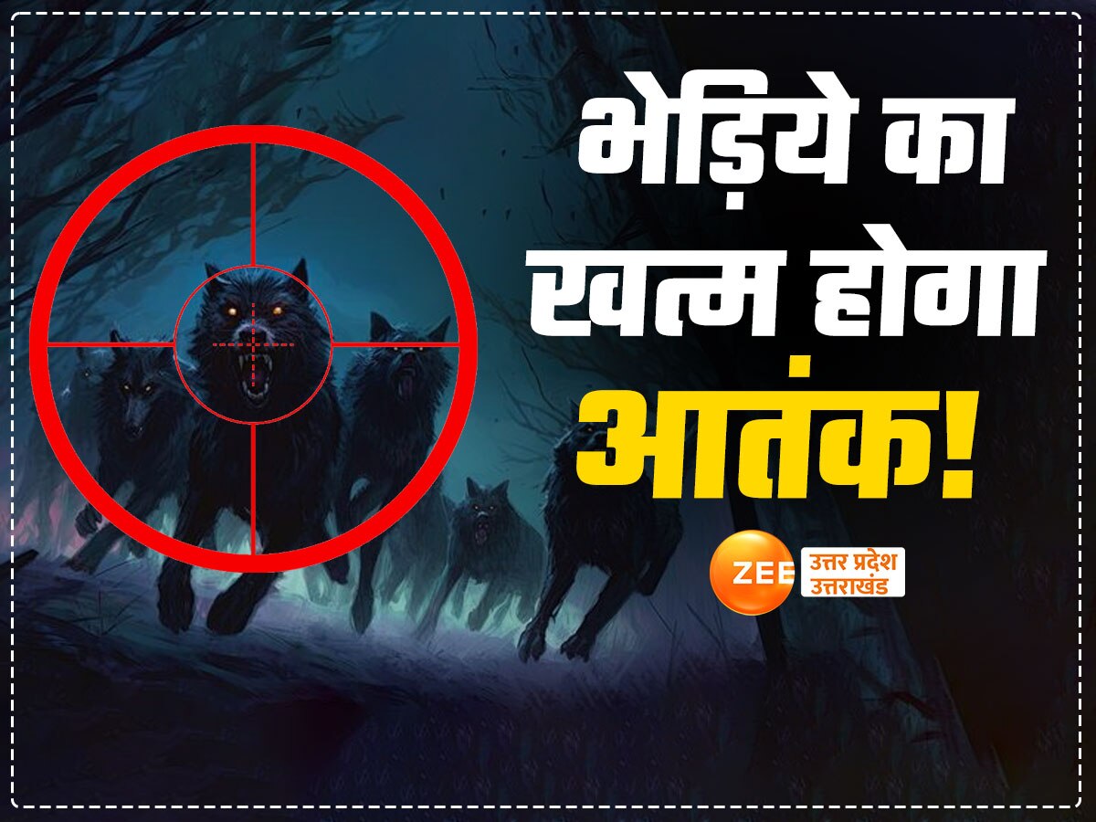 Bahraich Wolf Attack