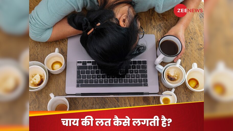 Why does anyone get addicted to tea, Reason behind tea addiction ...