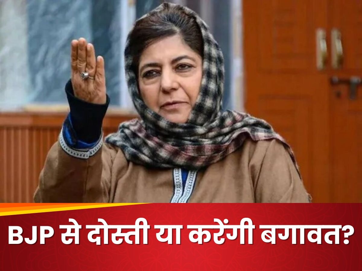 'हम जो करते हैं खुलेआम करते हैं...' महबूबा मुफ्ती बोलीं- अल्लाह ने चाहा तो हमारे बिना किसी की सरकार नहीं