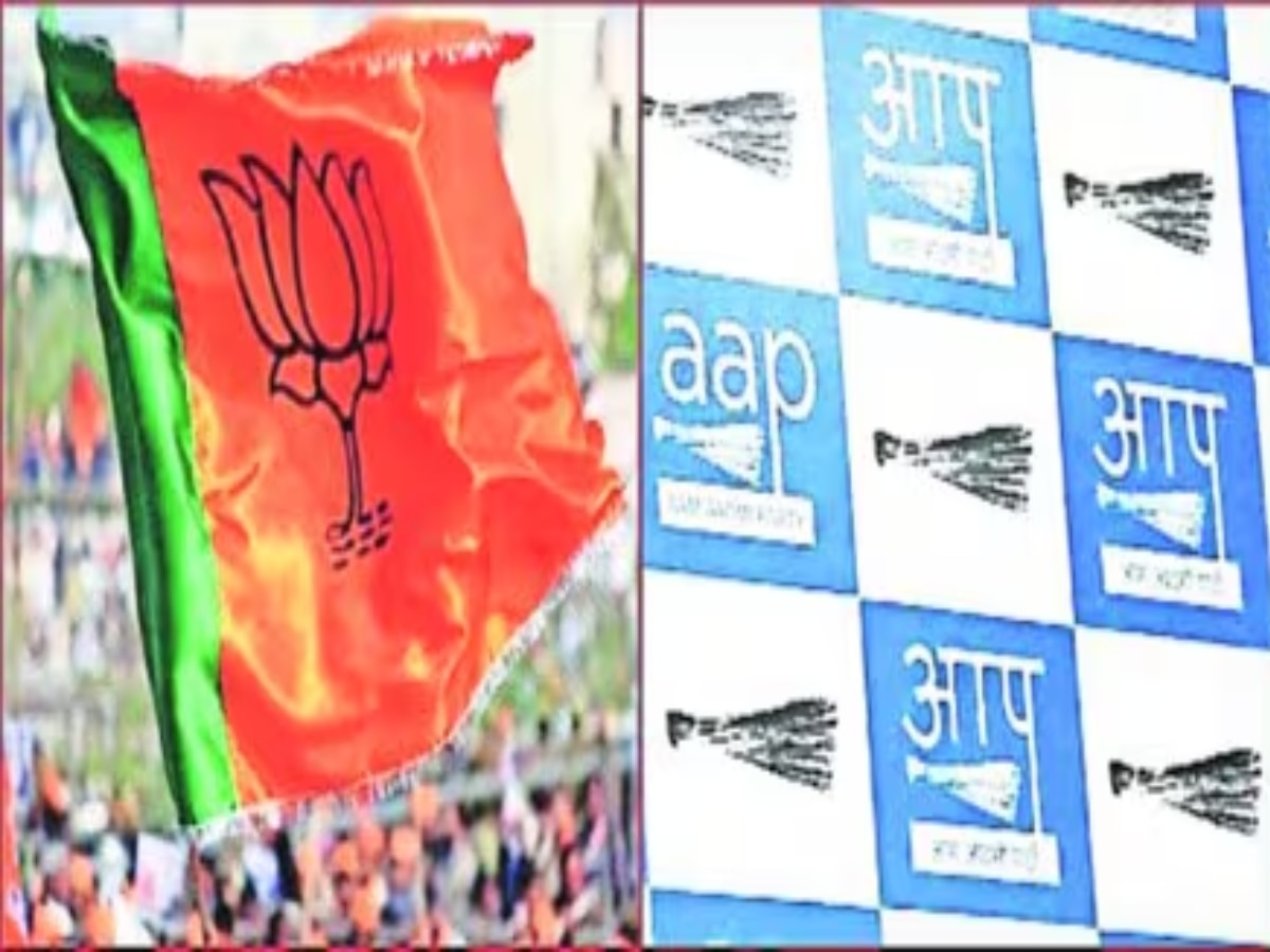 MCD Poll Results: एमसीडी वार्ड चुनावों में BJP ने AAP को हराया, 12 में 7 जोन में दर्ज की जीत