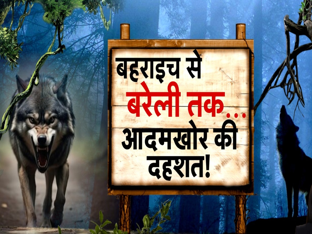 Bahraich: आदमखोर भेड़ियों को मारने वाले शूटर कितने शार्प.. फूल-प्रूफ प्लान डिकोड