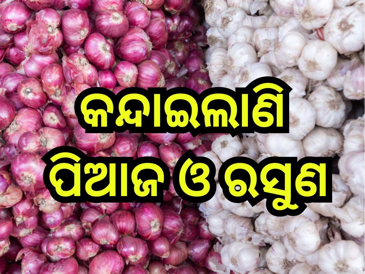 ହାଣ୍ଡିଶାଳରେ ମହଙ୍ଗା ମାଡ଼, ରସୁଣ ଓ ପିଆଜ ଆକାଶଛୁଆଁ , ଖୁଚୁରା ବଜାରରେ ଆଜି ଦର ରହିଛି ଏତିକି 