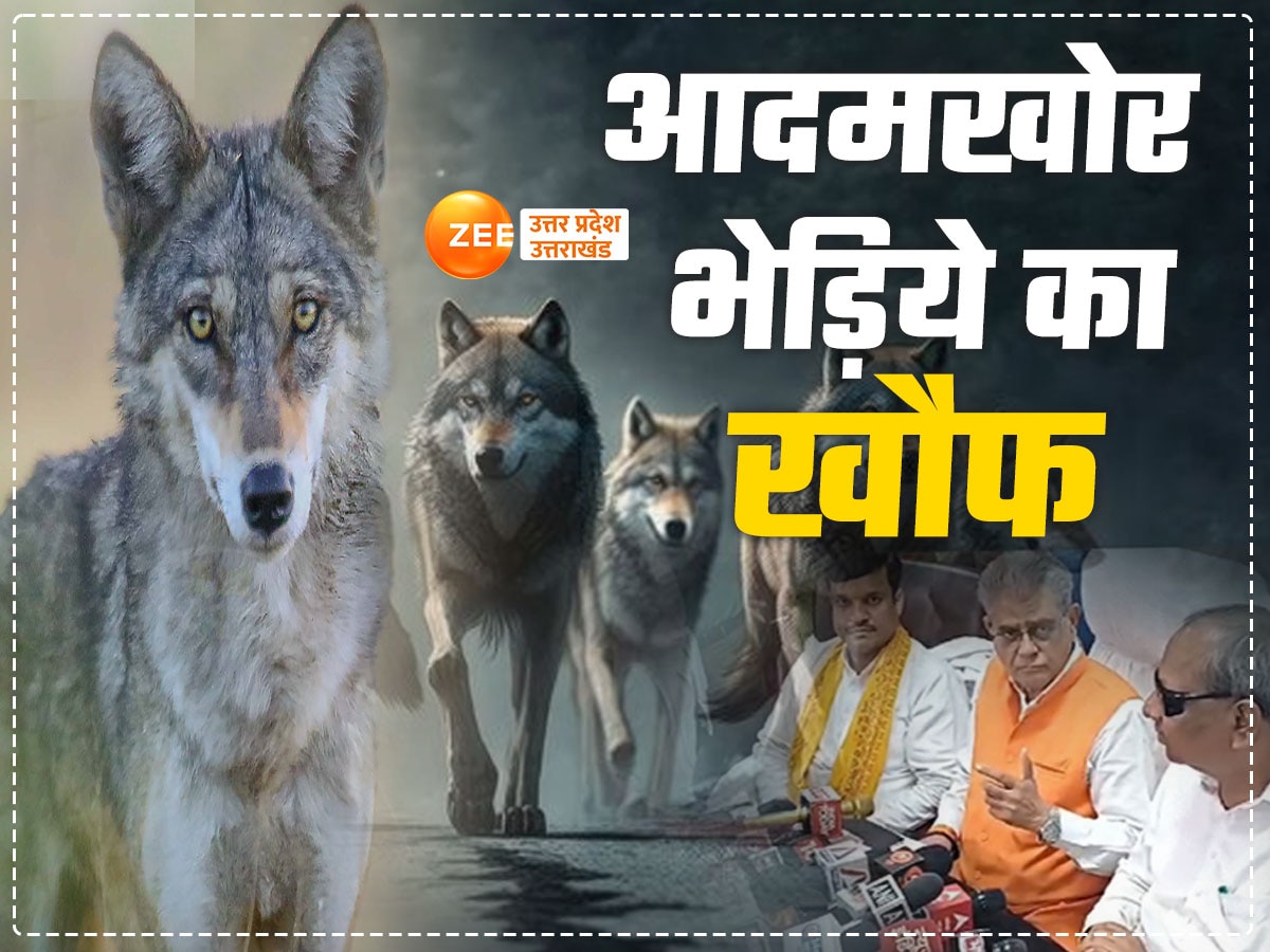 bahraich wolf attack