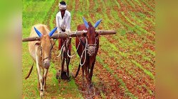 झारखंड सरकार का सपना किसानों को संसाधन से मजबूत करना, खेती के लिए चला रही कई योजनाएं