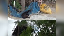 Motihari News: नल जल पाइप बकरी बांधने के आ रहा काम, साल भर से पानी आना बंद