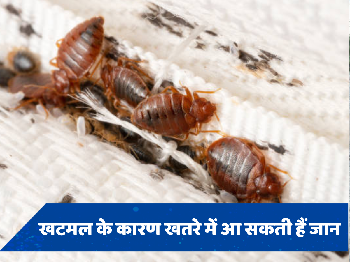 खटमल-मच्छर के कारण खतरे में पड़ सकती हैं सैकड़ों जानें, इंडियन रेलवे के लोको पायलट ने दर्ज की शिकायत