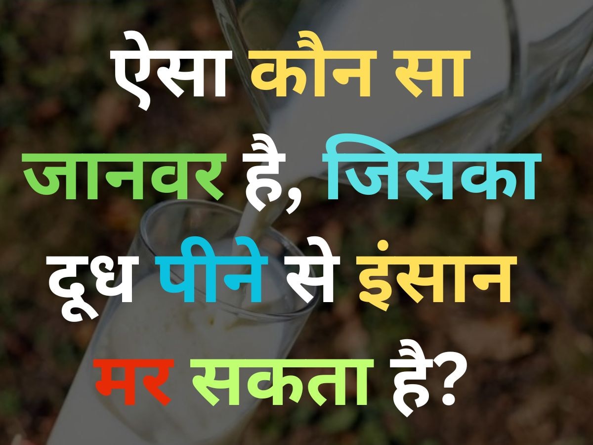 GK Quiz: ऐसा कौन सा जानवर है, जिसका दूध पीने से इंसान मर सकता है?