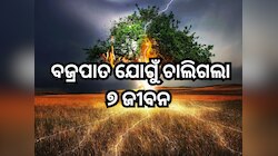 ବର୍ଷା ସମୟରେ ଗଛ ତଳେ ଠିଆ ହୋଇଥିଲେ ୭ ଜଣ, ବଜ୍ରପାତ ଯୋଗୁଁ ଚାଲିଗଲା ସମସ୍ତଙ୍କ ଜୀବନ