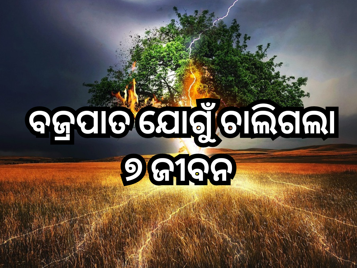 Lightning strikes In Chhattisgarh Lightning strikes In Chhattisgarh