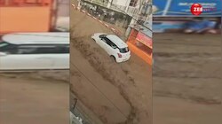 हल्द्वानी की बाढ़ में कार निकाल रहा था शख्स, ऐसा फंसा कि फरिश्ते बनकर कूदे लोग; देख दंग रह जाएंगे 