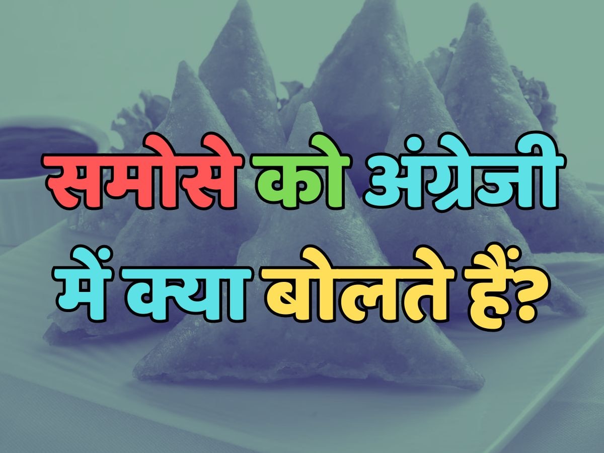 what is samosa called in English