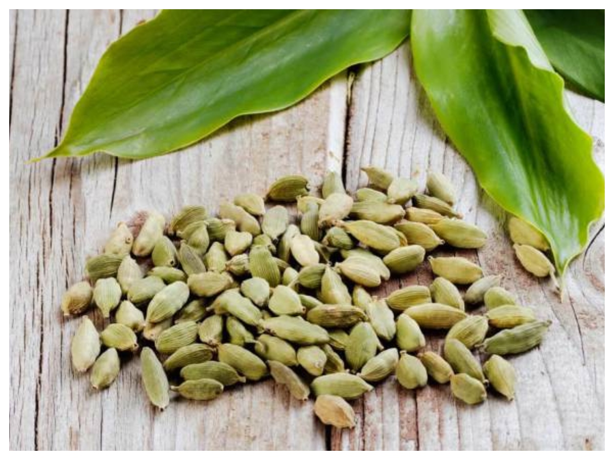 उल्टी से राहत