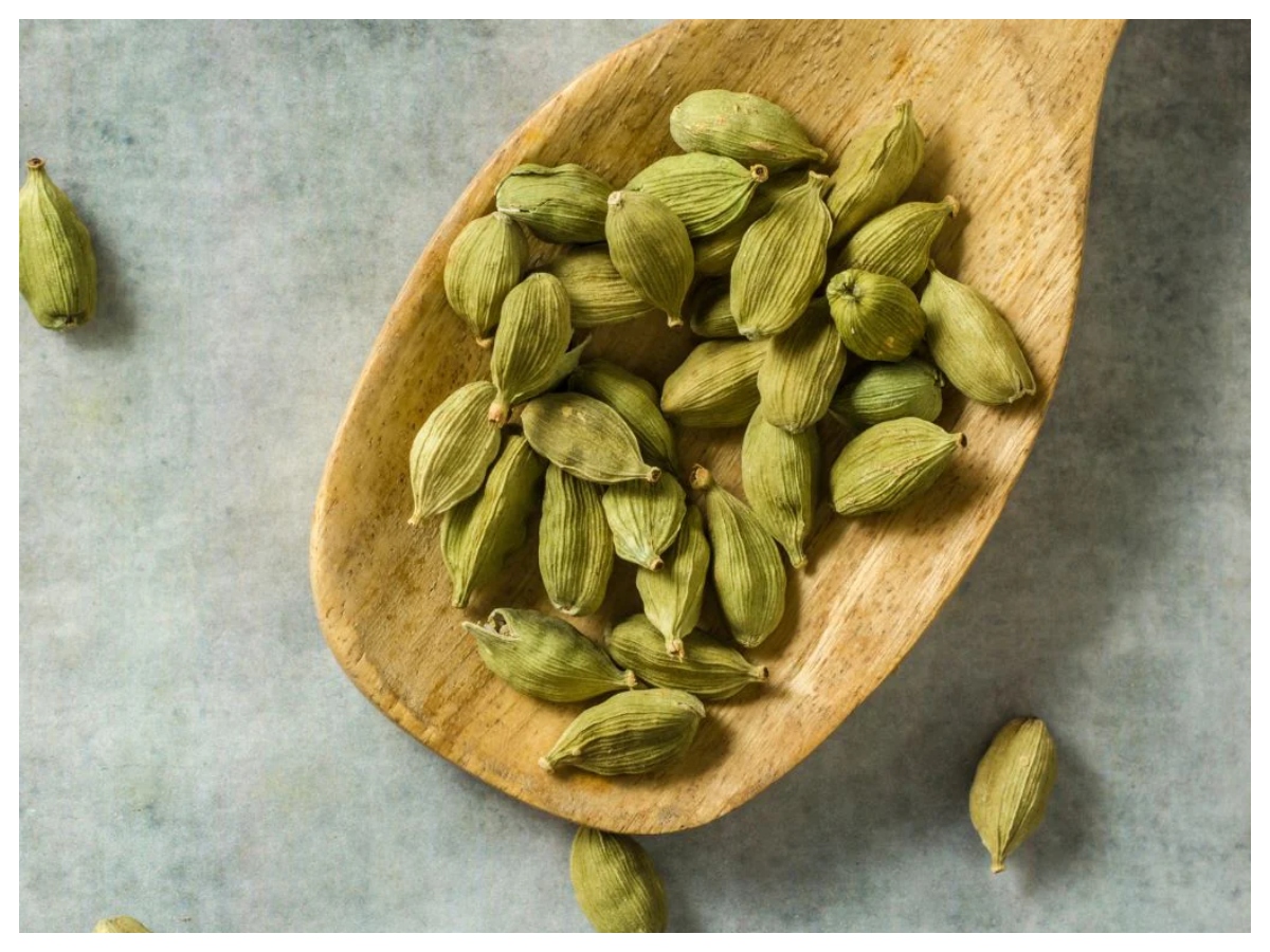 ताजा सांस