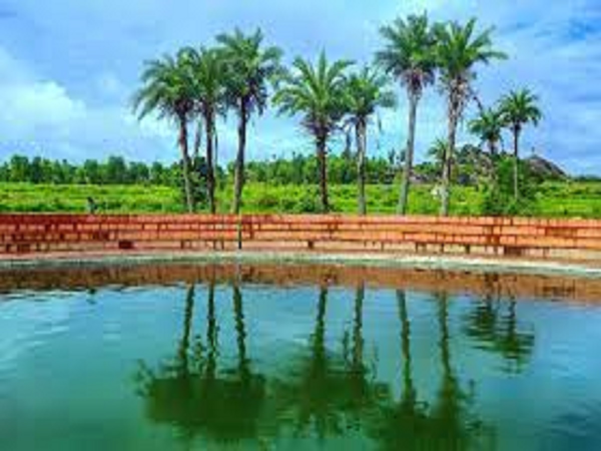 ठीक हो जाती है स्किन की बीमारियां