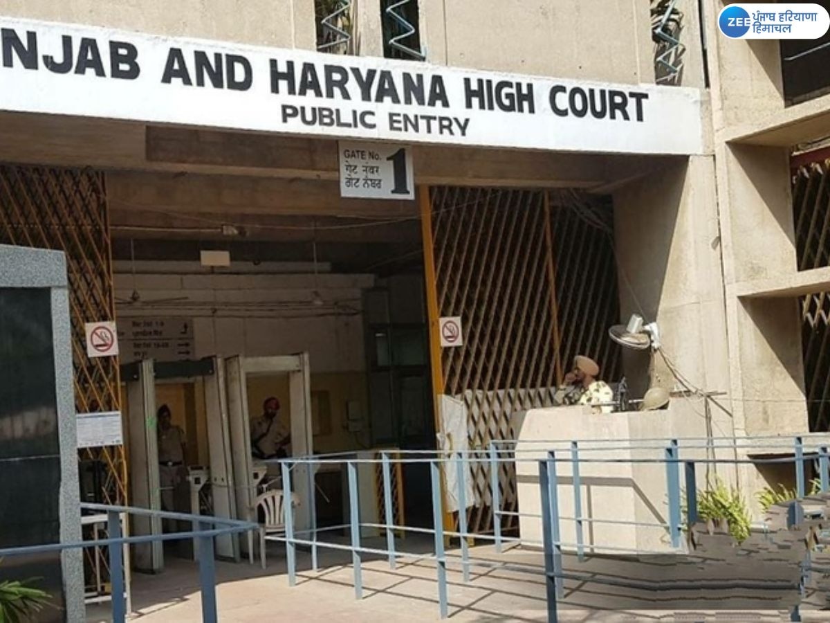 High Court News: ਪੰਜਾਬ ਨਗਰ ਨਿਗਮਾਂ, ਨਗਰ ਪ੍ਰੀਸ਼ਦ 'ਚ ਦੇਰੀ ਲਈ ਹਾਈ ਕੋਰਟ ਨੇ ਪੰਜਾਬ ਸਰਕਾਰ ਨੂੰ ਲਗਾਈ ਫਟਕਾਰ