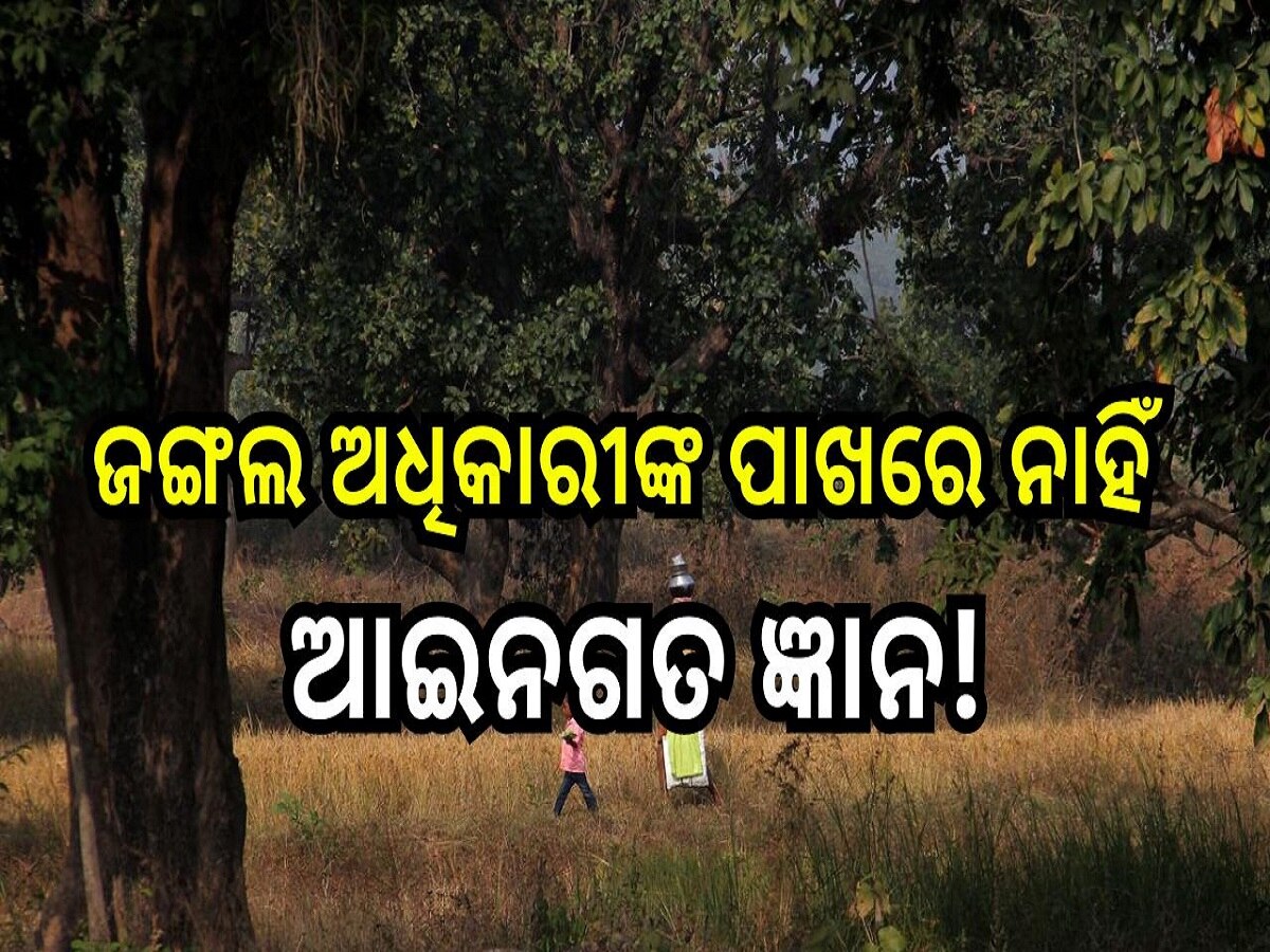 Odisha news: ଜଙ୍ଗଲ ଅଧିକାରୀଙ୍କ ପାଖରେ ନାହିଁ ଆଇନଗତ ଜ୍ଞାନ: ଖସି ଯାଉଛନ୍ତି ଅପରାଧି   