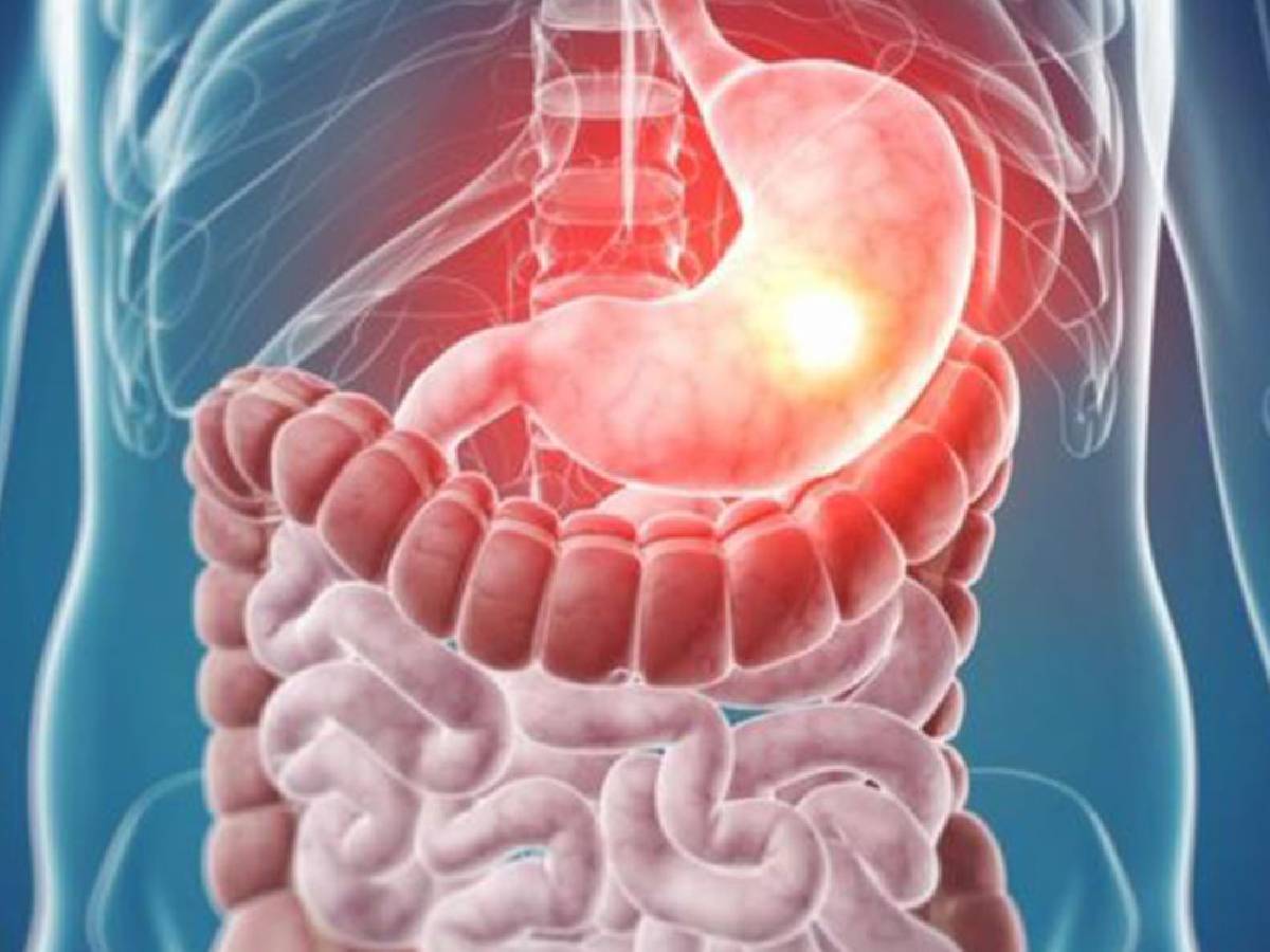 किचन की ये 3 चीजें शरीर के लिए हैं जहर, कैंसर बीमारी की है ये असली जड़