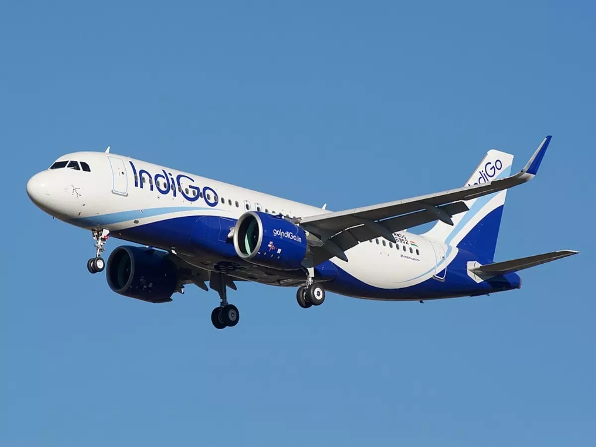 indigo  