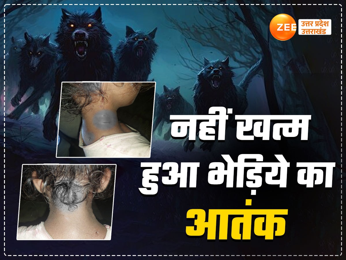 Bahraich Wolf attack