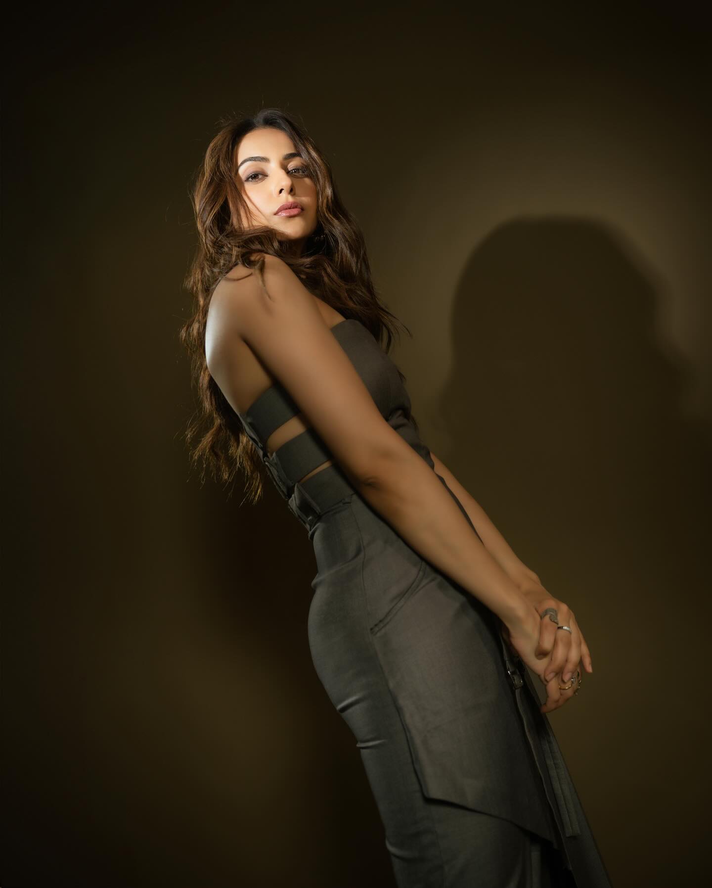 साउथ इंडस्ट्री से लेकर बॉलीवुड कर बनाई पहचान