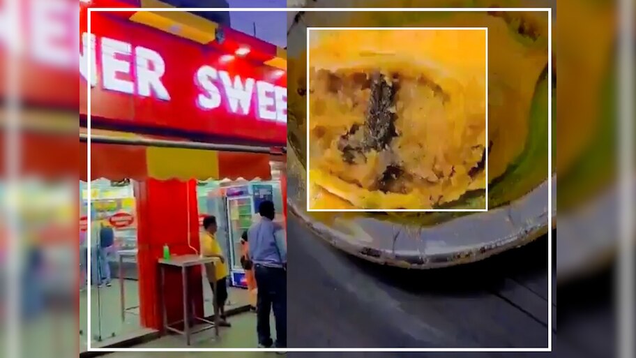 Viral Video: भूल जाइये खाने में कोकरोच, इस मशहूर ब्रांड के समोसे में मिली जानवर की टांग