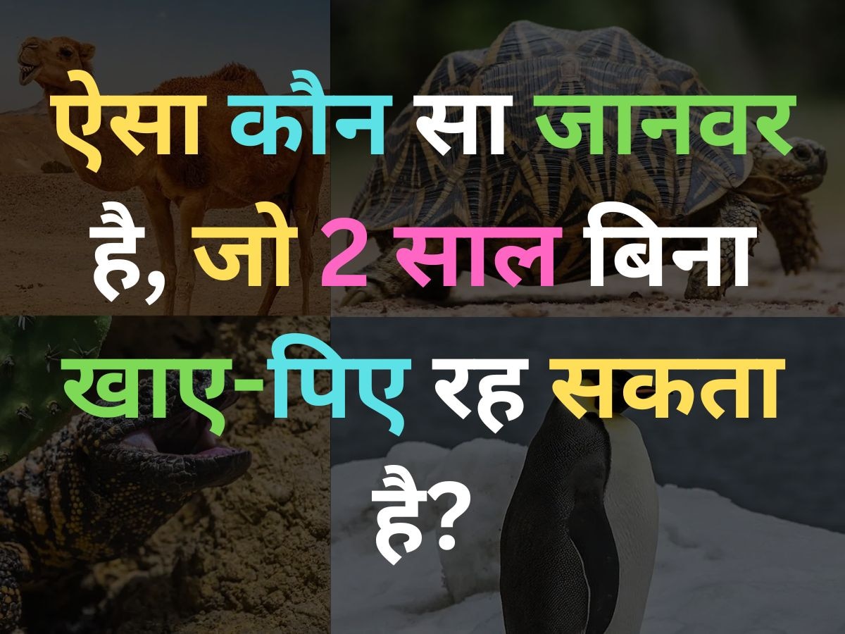 GK Quiz: ऐसा कौन सा जानवर है, जो 2 साल बिना खाए-पिए रह सकता है?