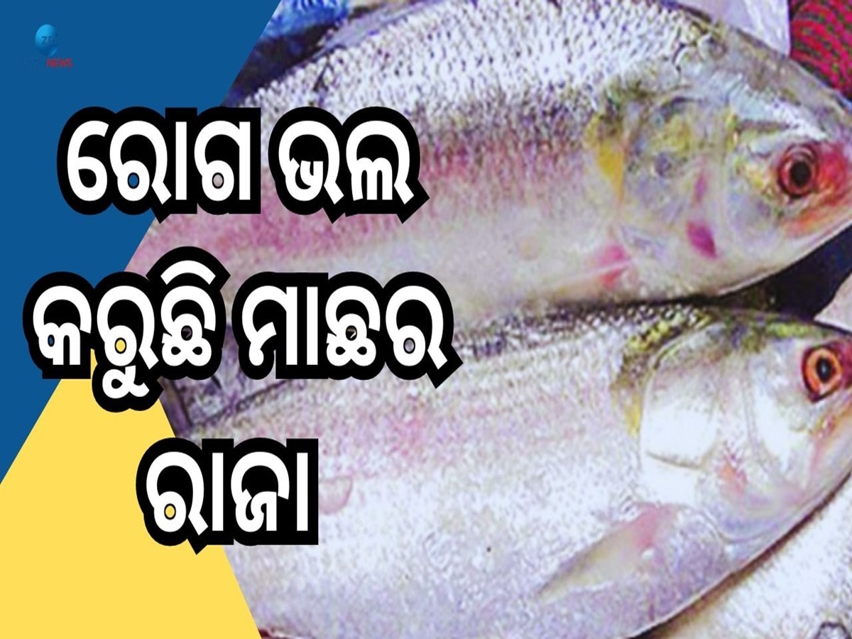 Hilsa Fish Benefits: କ୍ୟାନସର ସହ ମାରାତ୍ମକ ଏହି ୭ଟି ରୋଗରୁ ରକ୍ଷା କରେ ଇଲିସି ମାଛ...