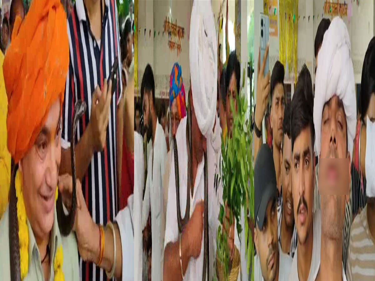 Rajasthan: निकाली गई नाग और नागिन की निकाली गई बिंदोरी, ब्लैक कोबरा ने पुजारी को डसा खून भी निकला लेकिन अगले ही पल… Rajasthan: निकाली गई नाग और नागिन की निकाली गई बिंदोरी, ब्लैक कोबरा ने पुजारी को डसा खून भी निकला लेकिन अगले ही पल…