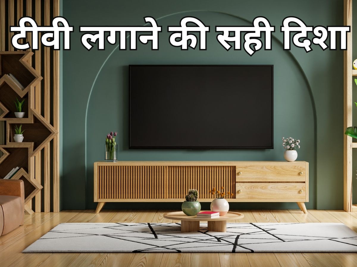 vastu tips for television