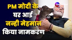 PM Modi के घर आई नन्ही मेहमान, नामकरण कर खूब किया प्यार, Video Viral