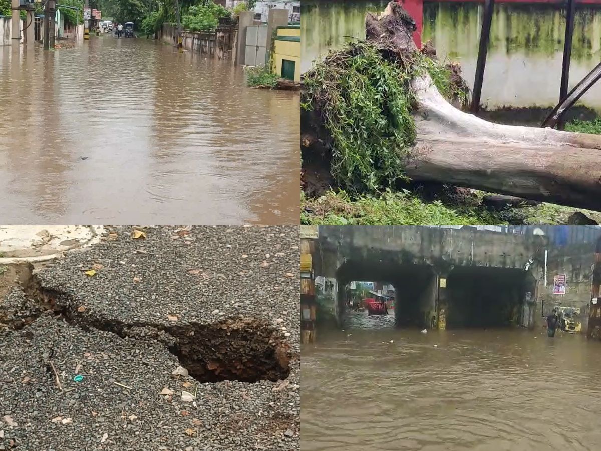 मूसलाधार बारिश की वजह से कहीं गिरा पेड़ तो कहीं ट्रांसफार्मर, पानी-पानी हुआ मुंगेर! 