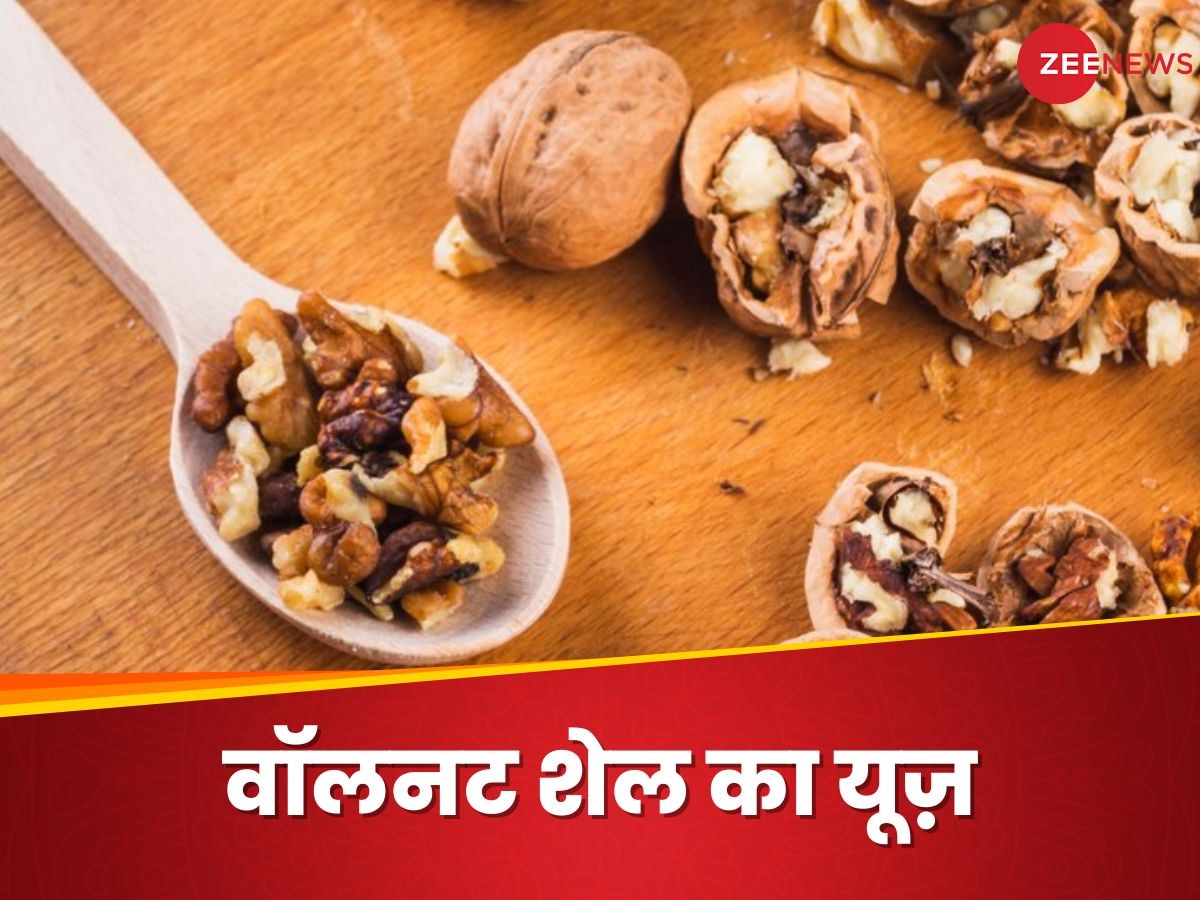 Walnut Shells: अखरोट के खोल को कचरे में फेंक देते हैं आप? इस तरह इस्तेमाल करने से होंगे बड़े फायदे