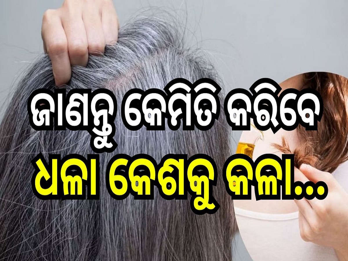 White Hair Home Remedy: ଧଳା କେଶକୁ ନେଇ ଚିନ୍ତିତ କି? ଏହି ସହଜ ଘରୋଇ ଉପଚାର ଦ୍ୱାରା ପାଆନ୍ତୁ କଳା କେଶ...