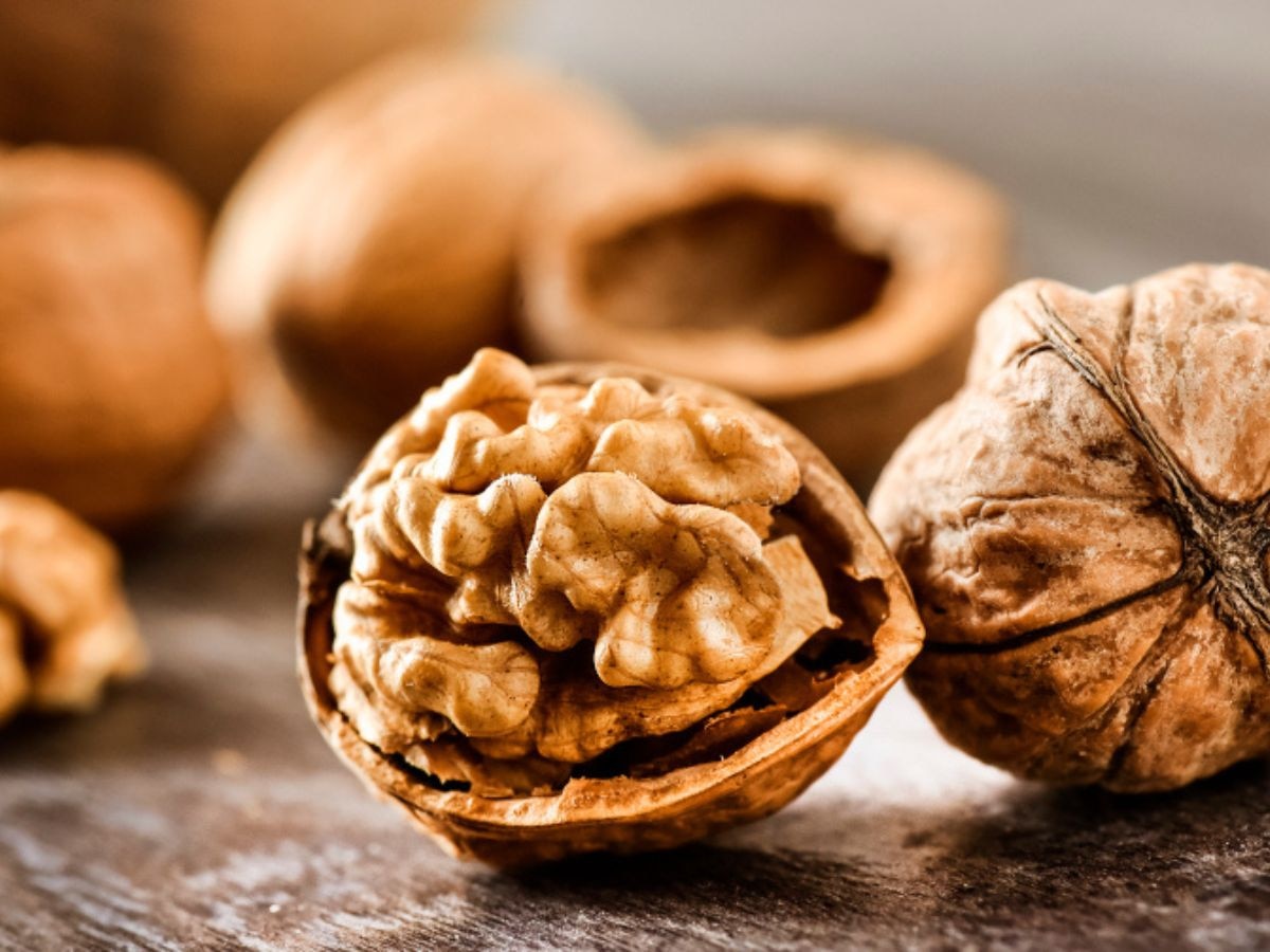 Walnut Benefits: सेहत का खजाना है अखरोट, रोजाना एक मुट्ठी खाने से शरीर को होंगे बड़े फायदे!