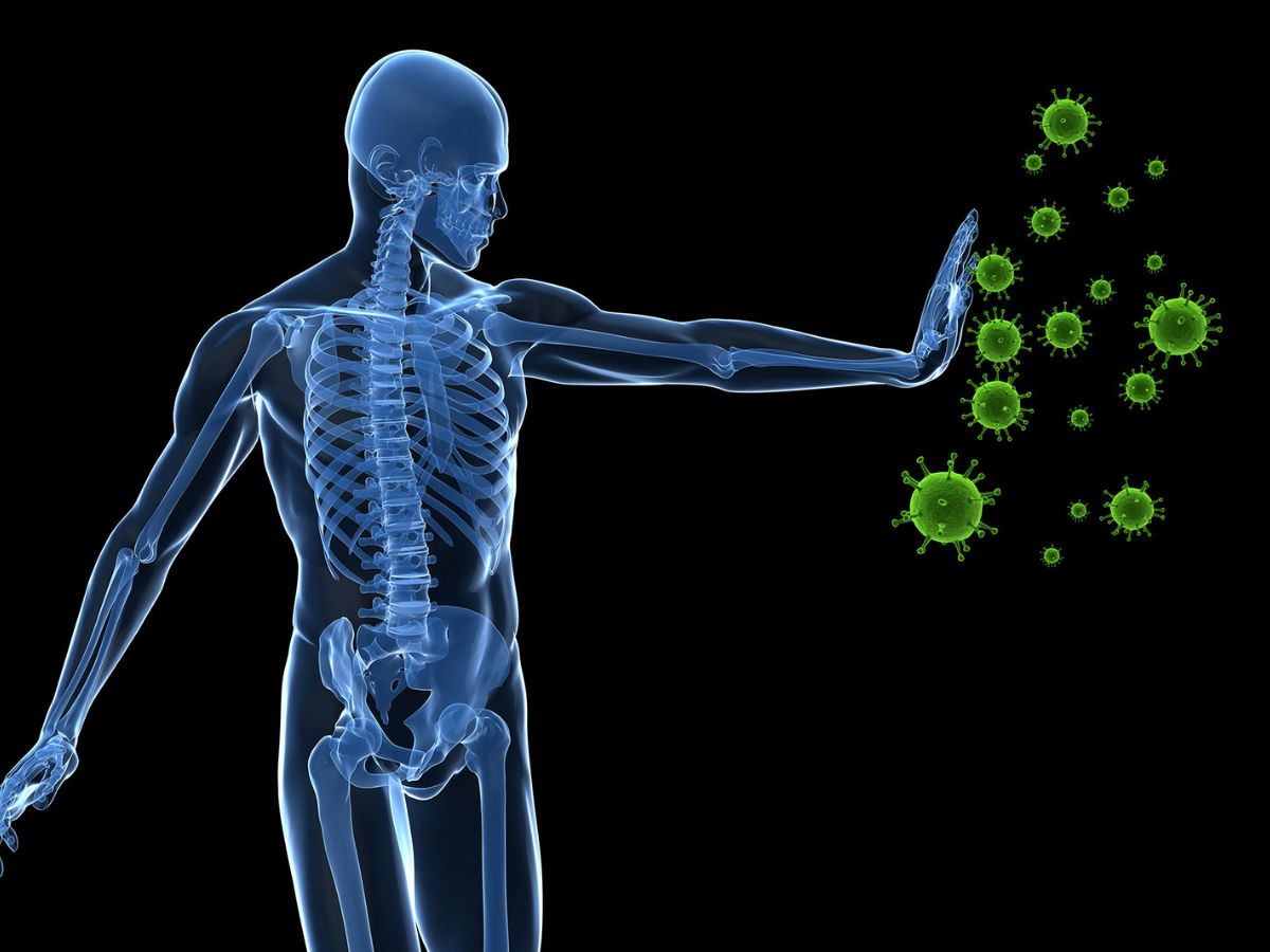 5. इम्यूनिटी में सुधार