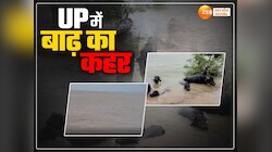 यूपी में बाढ़ से हाहाकार: उफान पर नदियां, गली और घाट की छत पर जलाए जा रहे शव 