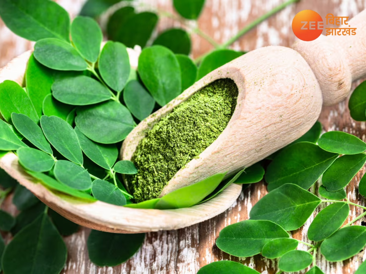 Benefits of Moringa Leaves: शरीर में इम्यूनिटी बढ़ाने का काम करती है सहजन की पत्तियां, जानें सही तरीका