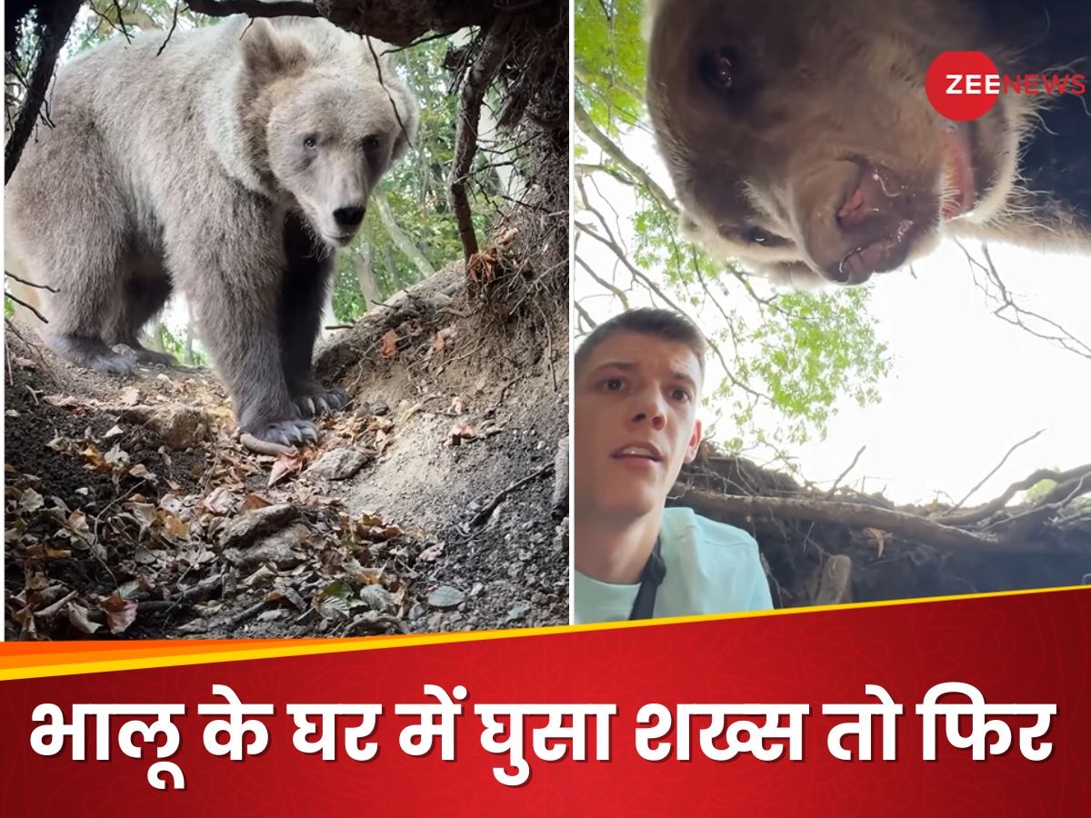 Video: इसे ही बोलते हैं मौत से पंगा लेना, भालू के घर में घुसा लड़का तो उसने आकर किया ऐसा