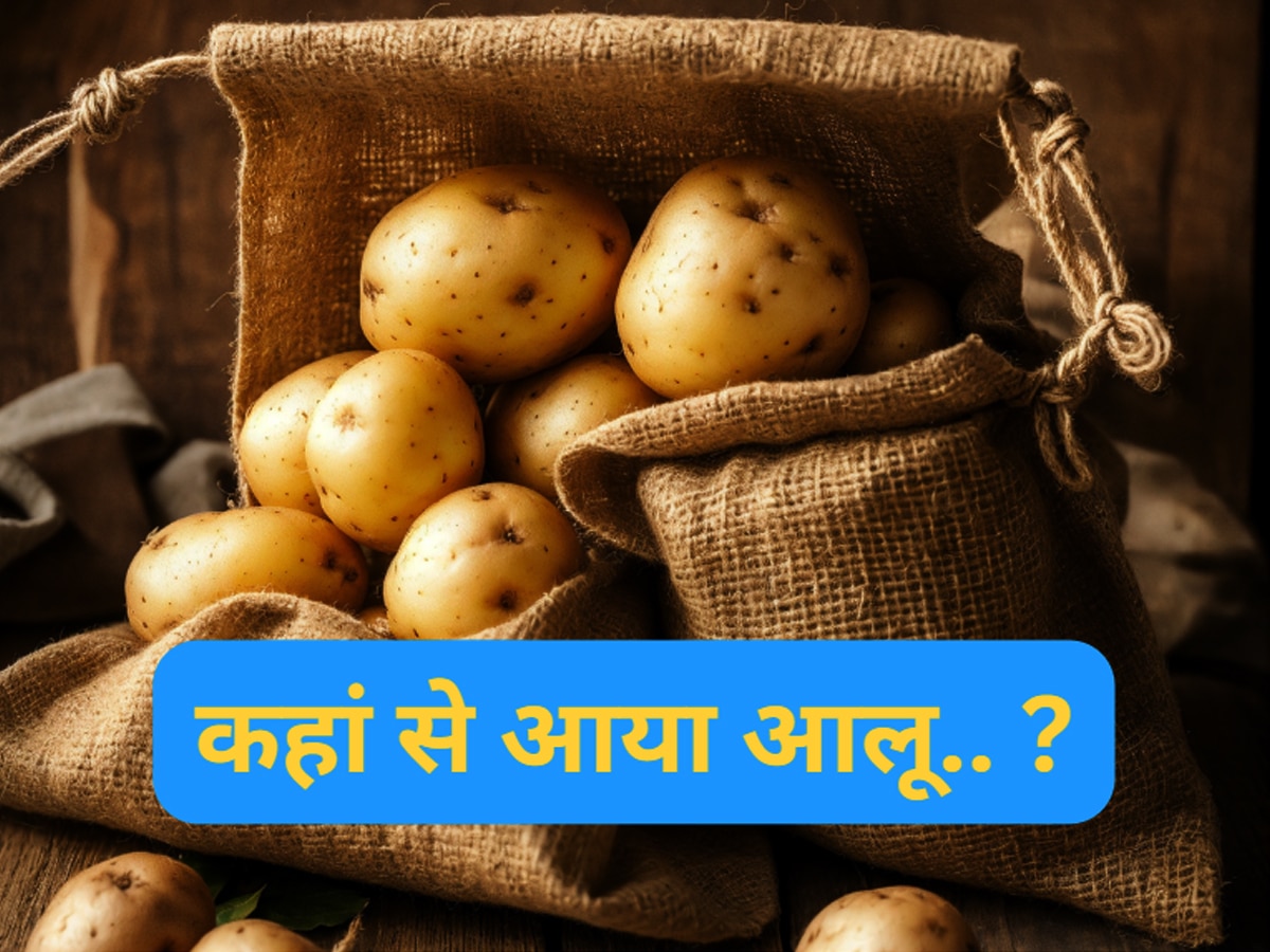 Potato: पहली बार कहां हुई थी आलू की खेती..  भारत नहीं है जवाब, 99 प्रतिशत लोग नहीं जानते सही जवाब