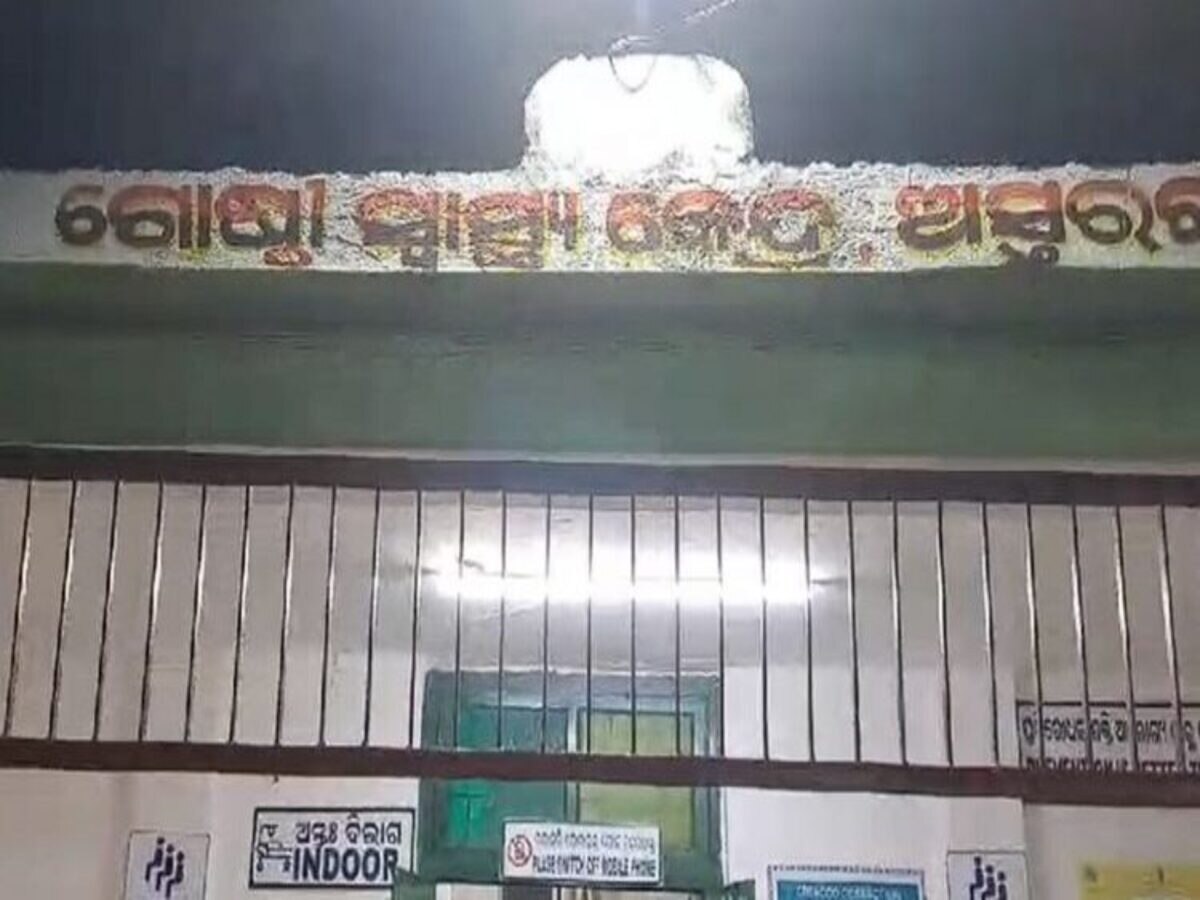 ପାଗଳ ବିଲୁଆ ଆତଙ୍କ; ୧୩ ଆହତ ଓ ୨ ଗୁରୁତର