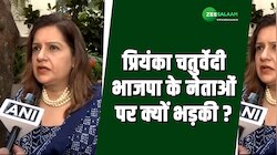 राहुल गांधी पर टिप्पणी करने वाला नेताओं पर भड़की प्रियंका चतुर्वेदी, कह दी बड़ी बात!