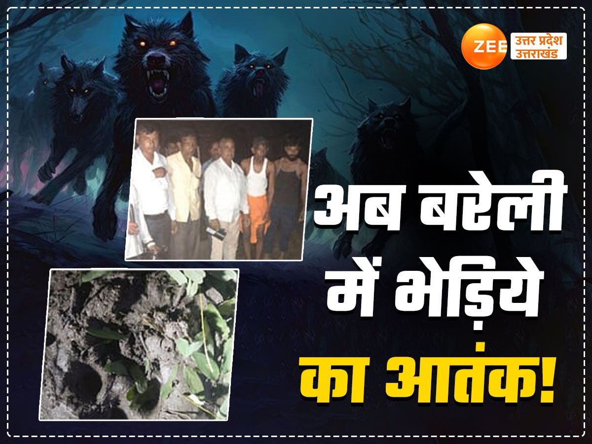 Bareilly Wolf Attack