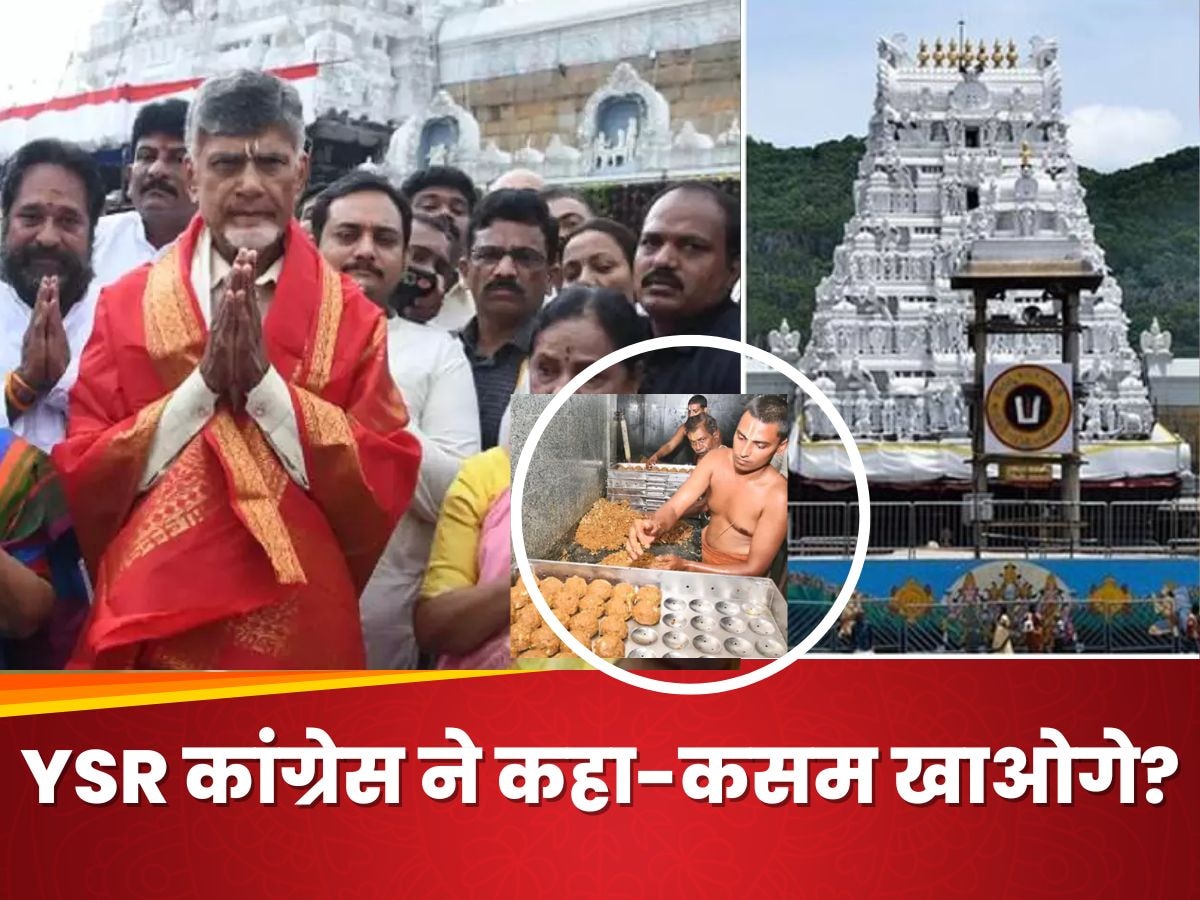 तिरुपति मंदिर के लड्डू प्रसादम में जानवरों की चर्बी का इस्तेमाल, CM चंद्रबाबू का बड़ा आरोप, बोले- मंदिर की शुद्धता खंडित