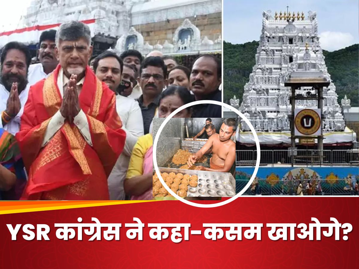 तिरुपति मंदिर के लड्डू प्रसादम में जानवरों की चर्बी का इस्तेमाल, CM चंद्रबाबू का बड़ा आरोप, बोले- मंदिर की शुद्धता खंडित तिरुपति मंदिर के लड्डू प्रसादम में जानवरों की चर्बी का इस्तेमाल, CM चंद्रबाबू का बड़ा आरोप, बोले- मंदिर की शुद्धता खंडित