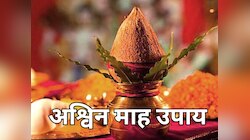 अश्विन माह में किए ये उपाय जीवन में लाएंगे शांति, दूर होगी हर समस्या, होगा धनलाभ